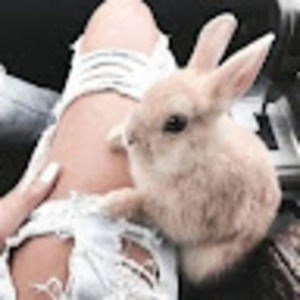 Meet your Posher, Arelys